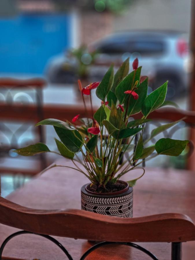 Bliss Hoteis Centro Búzios Exterior foto Anthurium